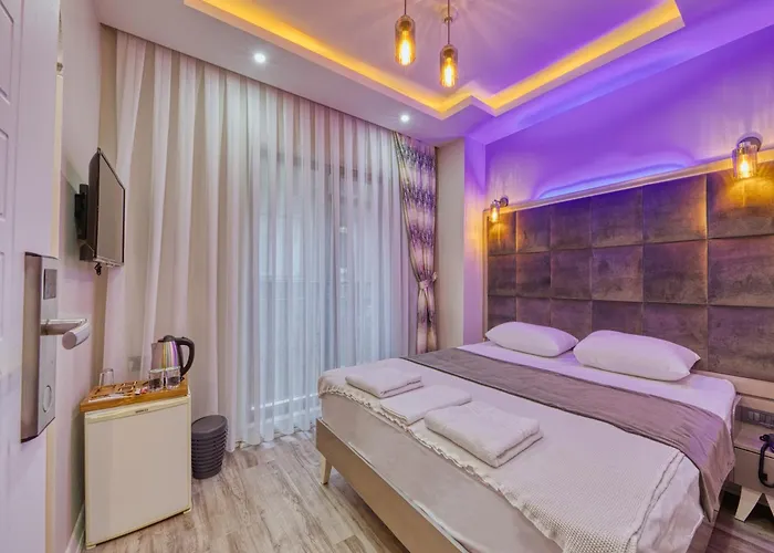 ホテル Galatagreenapplehotel 3*